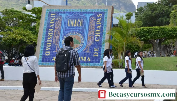 Programa de Beca Tesis De Licenciatura Chiapas