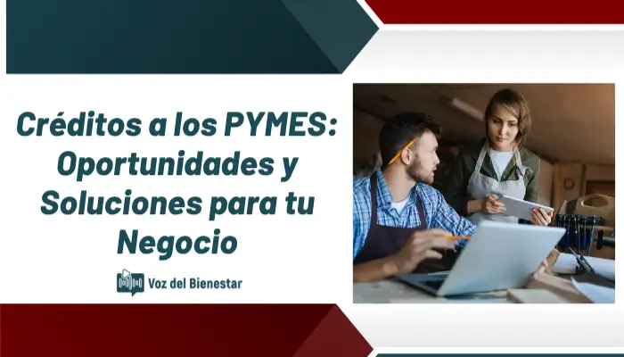 Créditos a los PYMES: Oportunidades y Soluciones para tu Negocio