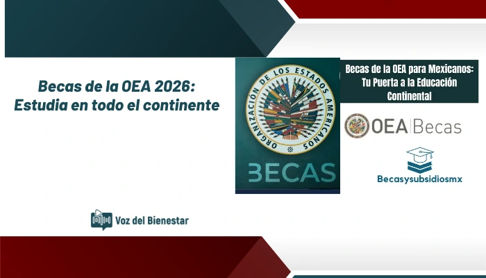 Becas de la OEA 2026: Estudia en todo el continente