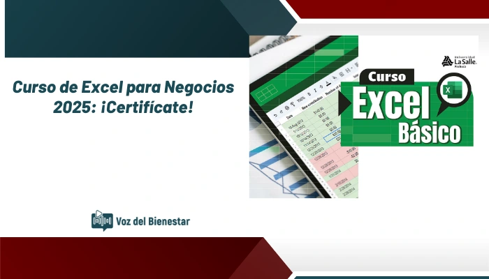Curso de Excel para Negocios 2025: ¡Certifícate!