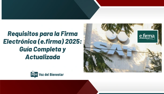 Requisitos para la Firma Electrónica (e.firma) 2025: Guía Completa y Actualizada