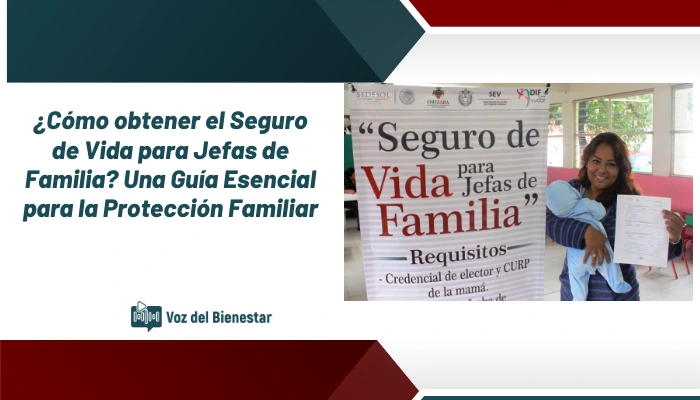 ¿Cómo obtener el Seguro de Vida para Jefas de Familia? Una Guía Esencial para la Protección Familiar