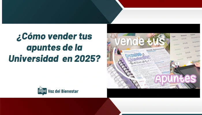 ¿Cómo vender tus apuntes de la Universidad en 2025?