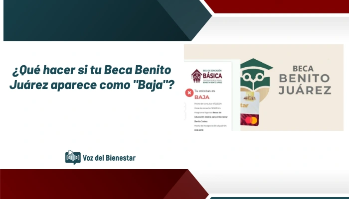 ¿Qué hacer si tu Beca Benito Juárez aparece como "Baja"?