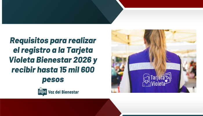 Requisitos para realizar el registro a la Tarjeta Violeta Bienestar 2026 y recibir hasta 15 mil 600 pesos