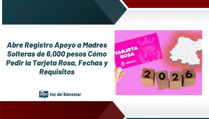 Abre Registro Apoyo a Madres Solteras de 6,000 pesos: Cómo Pedir la Tarjeta Rosa, Fechas y Requisitos