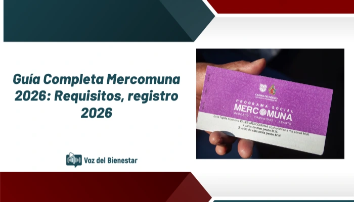 Guía Completa Mercomuna 2026: Requisitos, registro 2026