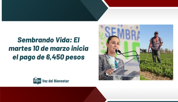 Sembrando Vida: El martes 10 de marzo inicia el pago de 6,450 pesos para campesinos